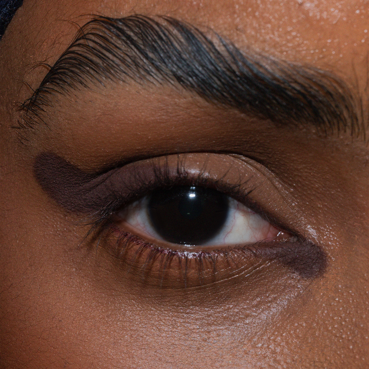 Nahaufnahme eines braunen Auges mit geflügeltem Liner und geformten Augenbrauen mit The Single von LH Cosmetics.