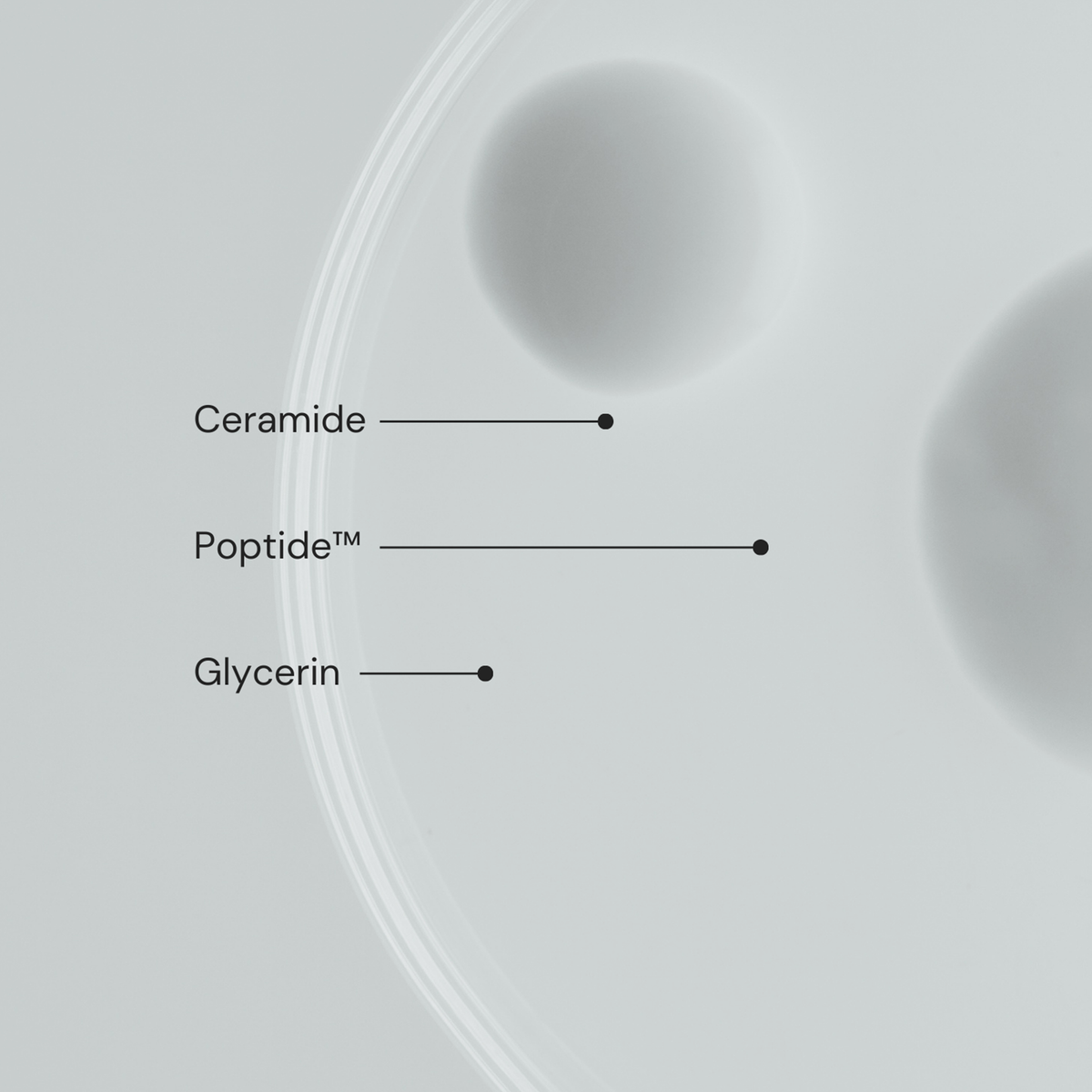 Eine Petrischale hebt Ceramide, Peptide™ und Glycerin hervor - die wichtigsten Inhaltsstoffe der Milky Drops Face Moisturiser von MERME.