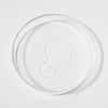 Eine durchsichtige Petrischale mit einem getrockneten, transparenten Rückstand von Bio-Pilixin® Serum+ Women von Scandinavian Biolabs ist auf weißem Hintergrund abgebildet.