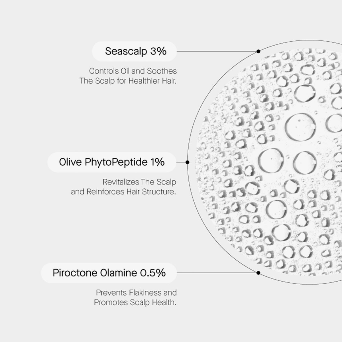 Anti-Dandruff Scalp Treatment | Transparent Lab