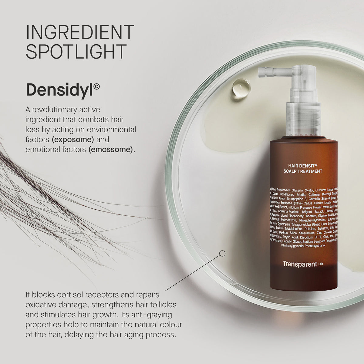 Hair Density Scalp Treatment