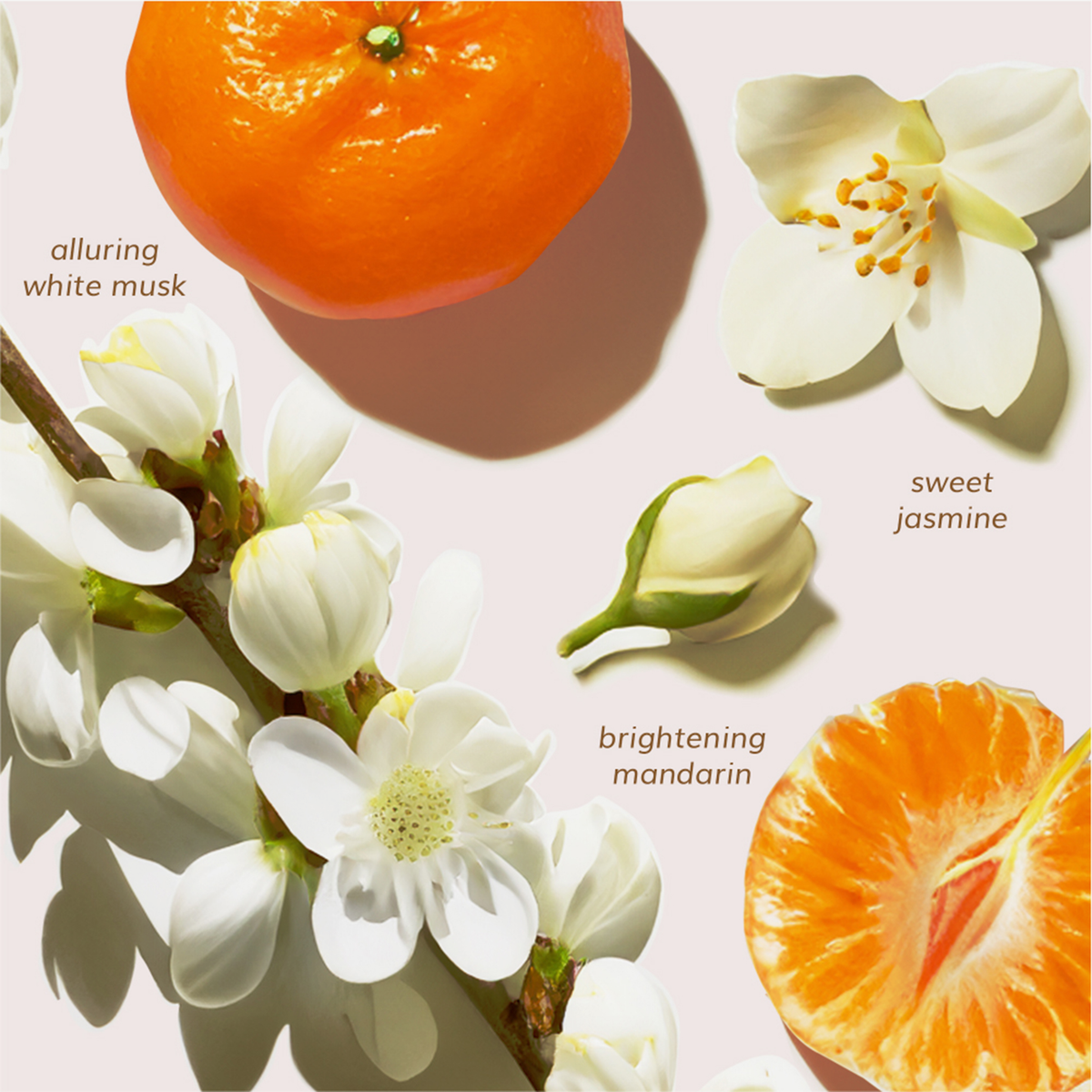 Abyssian Nano Repair Conditioner: verführerischer weißer Moschus, süßer Jasmin und belebende Mandarine auf einer leichten Basisnote.