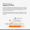 Das Diagramm zeigt, wie Minimalist Light Fluid SPF 50 Sonnenschutzmittel organische UV-Filter verwendet, um UV-Licht zu absorbieren, Elektronen anzuregen und Wärme in den Hautschichten freizusetzen.