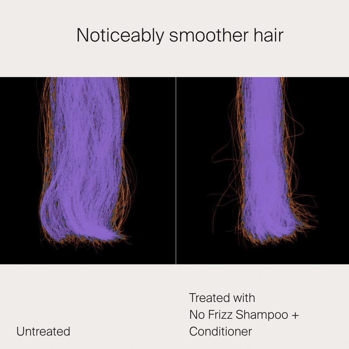 No Frizz Shampoo