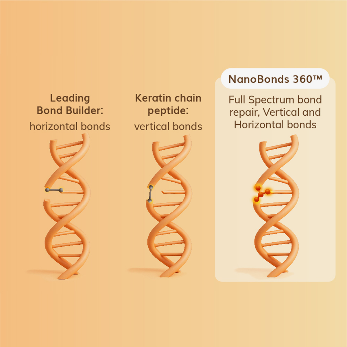 Drei DNA-Stränge zeigen horizontale, vertikale und kombinierte Bindungen und verdeutlichen damit die Wirkung des Abyssian Nano Repair Shampoos für eine umfassende Reparatur der Bindungen.