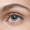 Nahaufnahme eines Auges mit langen, definierten Wimpern, die mit Mascara getuscht wurden, und gepflegter Augenbraue.
