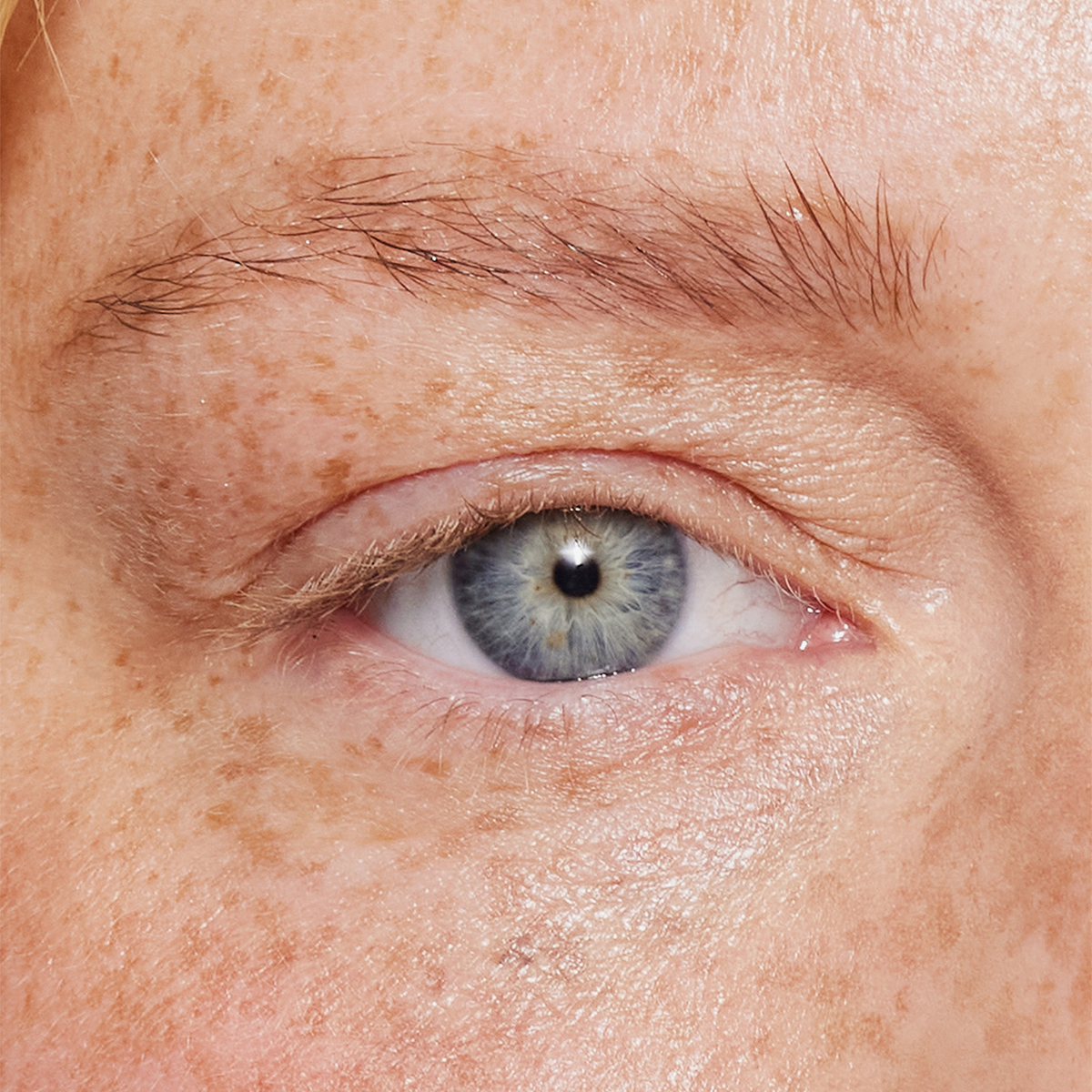 Nahaufnahme eines menschlichen Auges und einer Augenbraue, die mit dem XLASH Brow Booster behandelt wurden.