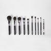 Ultimate Essentials 10 Piece Face & Eye Brush Set With Bag