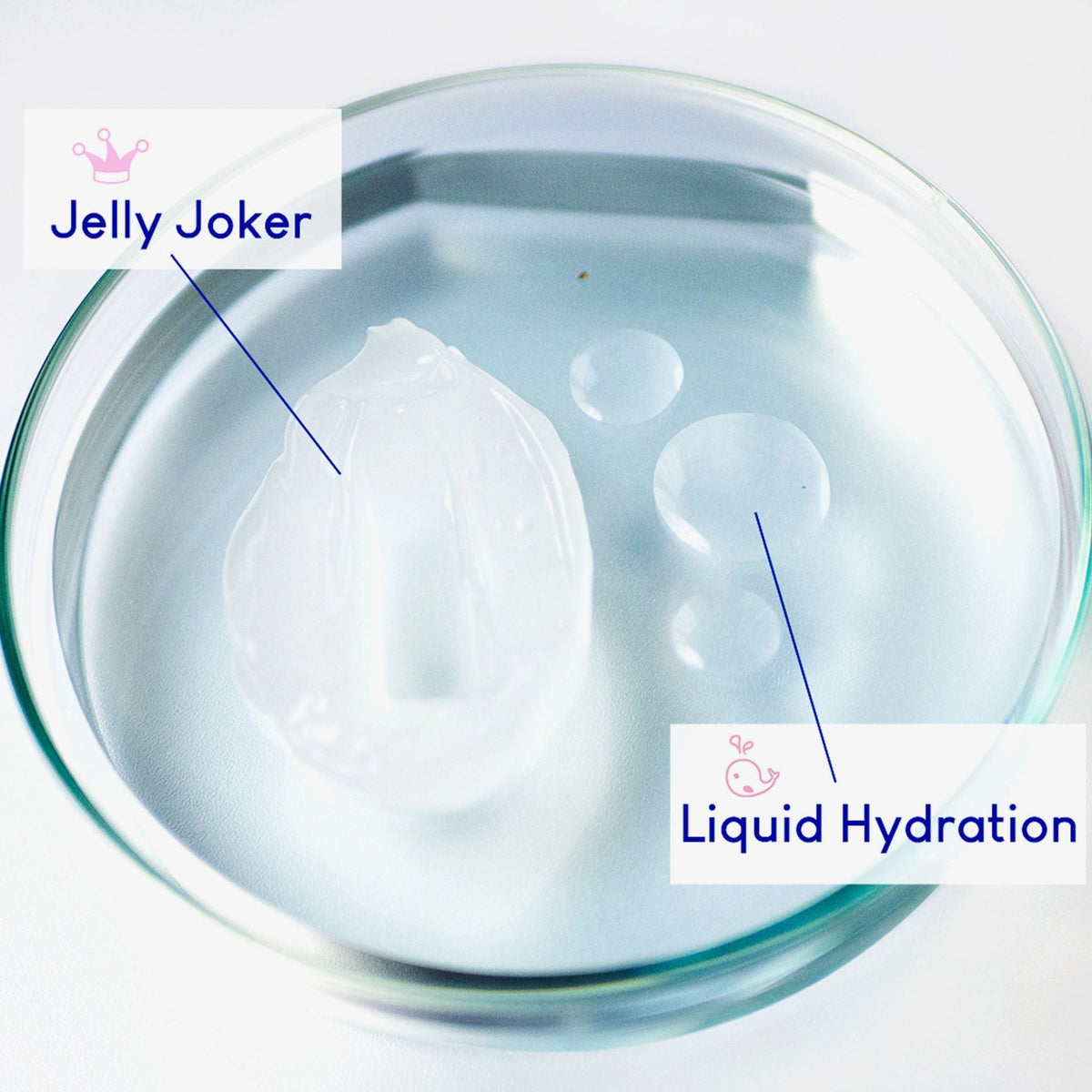 Geek & Gorgeous | Liquid Hydration